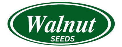 walnutseeds.com